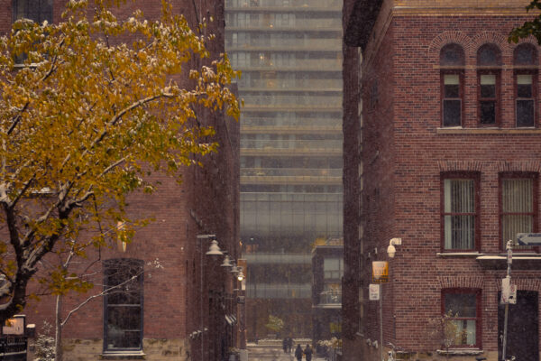 SDIM0263